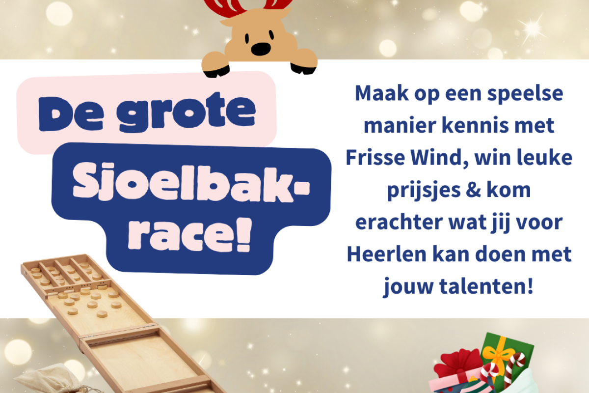 De grote Sjoelbak race 2